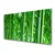 tulup.si Steklena slika Bamboo stem rastlin 140x70 cm 2 obešalnika