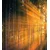 Fototapeta sonce za drevesi - 245x270