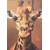 Key Largo Majica  SMART GIRAFFE  mešane barve/bela
