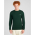 GANT Pulover, zelena