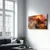 OGLS-5072 - Višenamenska Tempered Staklena Slika 70 x 110 cm