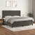 vidaXL Box spring postelja z vzmetnico temno siva 200x200 cm žamet