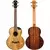 FLIGHT UKULELE MAIA EQ-A koncert električna ukulela