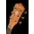 Washburn G7S akustična gitara