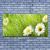 tulup.si Slika na platnu Grass daisies narava 125x50 cm