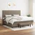 Vidaxl Box spring postelja z vzmetnico taupe 200x200 cm blago