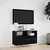Zidni TV ormarić s LED svjetlima crni 80 x 31 x 45 cm