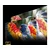Hisense Projektor C3, 4K PRO-UHD, 65 - 300, Wi-Fi, Bluetooth, Crni