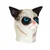 Korbi Profesionalna lateks maska Grumpy Cat Grumpy Cat