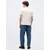 Calvin Klein Jeans Majica bazaltno siva/črna/bela