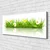 tulup.si Slika na platnu Grass nature rastlin 120x60 cm