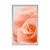Plakat vrtnica v odtenku breskve - 40x60 black