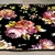 Conceptum Hypnose tepih, 80x120cm, šaren