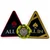 ALL IN Button Triangle Gold