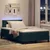 Vidaxl LED Box Spring Postelja z LED Temno zelena 120 x 200 cm Žamet
