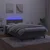 vidaXL Box spring postelja z vzmetnico LED temno siva 120x190 cm žamet
