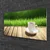 tulup.si Slika na steklu Grass les narava mug 120x60 cm 2 obešalnika
