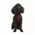 Paws & Whiskers Am za pse Air-Mesh, Bordo