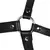 Xtreme – Blindfolded Head Harness & Solid Ball Gag