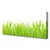 tulup.si Slika na platnu Grass nature rastlin 120x60 cm