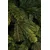 Novogodišnja jelka Tara 240cm (1416 grana) - 190036