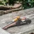 Outdoor knife sharpener - Anysharp