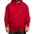Hoodi - ART DRIVEN - SULLEN - SCM4702_RD