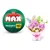 Zuru kapsula Max Premium LED Bouquets Purple