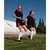 Northix Trening lestev