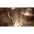 PC Tomb Raider Legacy Of Atlantis - Collectors Edition
