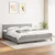Vidaxl Box spring postelja z vzmetnico svetlo siva 200x200 cm blago