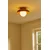 Opviq zidna lampa Hant-T, 1 × G9, hrast / bela