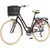 Bicikl Fashion Visitor Bella Alu 28 Alu 21 V-Brake 6 Brzina 155-178cm (S/M) Braon Perla Uv Sjaj