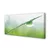 tulup.si Slika na platnu Drop trava makro 140x70 cm