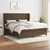Vidaxl Box spring postelja z vzmetnico temno rjava 180x200 cm blago