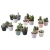 CACTACEAE Biljka u saksiji, kaktus/raznovrsno, 6 cm 3 komada