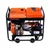 Dizelski generator 6000W 230V z AVR 14477