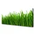 tulup.si Slika na platnu Grass nature rastlin 125x50 cm
