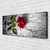 tulup.si Slika na platnu Rose flower rastlin narava 140x70 cm