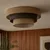 Plafonsko svetlo WENTA 1xE27/60W/230V prečnik 50 cm juta/braon