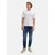 TOM TAILOR Kavbojke Josh  moder denim