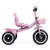 ECOTOYS Tricikl sa neklizajućim rukohvatima, zvoncem i korpom, Roze