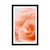 Plakat s paspartujem vrtnica v odtenku breskve - 40x60 white