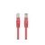 Patchcord cat.6 UTP 0,2 cz 10-p PCU6-20CC-0025-