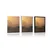 Plakat prelet ptic nad mostom - 40x60 white