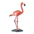 Safari Flamingo