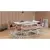 Hanah Home Trpezarijska stolica Vina Sandalye 46x85x46cm Belo-Bež