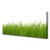 tulup.si Slika na platnu Grass nature rastlin 120x60 cm