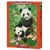 Castorland Sestavljanka 1000 kosov C-104987-2 Panda Brunch