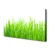 tulup.si Slika na platnu Grass nature rastlin 100x50 cm